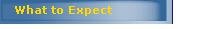 What to Expect 